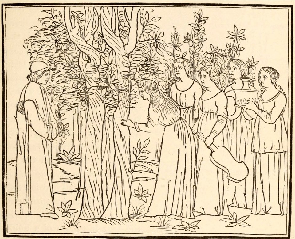 History of Wood Engraving 0081