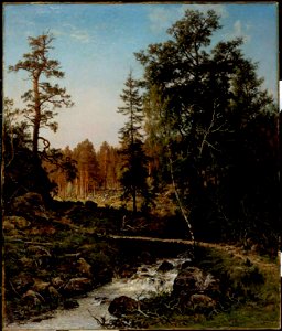 Hjalmar Munsterhjelm - A Forest Landscape from Hauho - A-1991-51 - Finnish National Gallery. Free illustration for personal and commercial use.