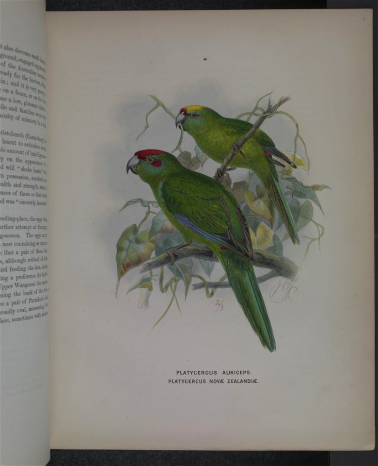 History of the birds of NZ 1st ed p060-2