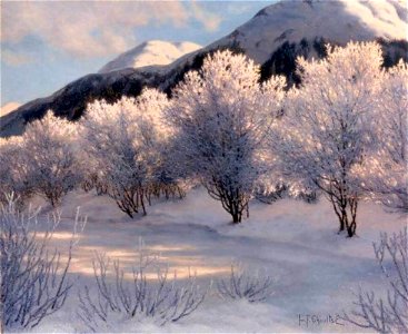 Hiver, Haute Savoie, Suisse Ivan Choultse