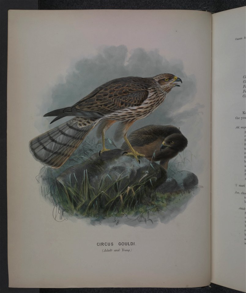 History of the birds of NZ 1st ed p010-2