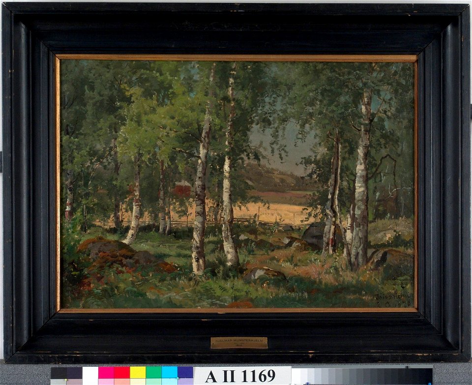 Hjalmar Munsterhjelm - Koivikko ja ruispelto - A II 1169 - Finnish National Gallery