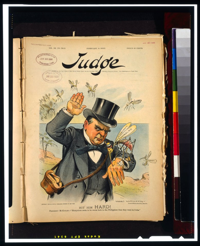 Hit him hard! President McKinley - Mosquitoes seem to be worse here in the Philippines than they were in Cuba - Grant Hamilton. LCCN98514700