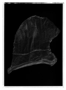 Hjälmskydd till hjälm nr 15533 - Livrustkammaren - 1068-negative
