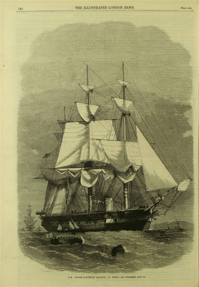 HM Steam-Corvette Racoon, 22 Guns - ILN 1863