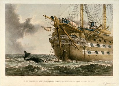 HMS Agamemnon laying the Atlantic Telegraph cable in 1858. A whale crosses the line RMG PU6204