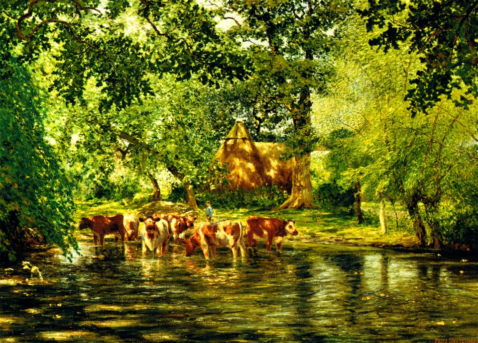 Hochsommer Dorfteich 01