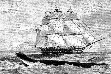 HMS Daedalus with sea serpent