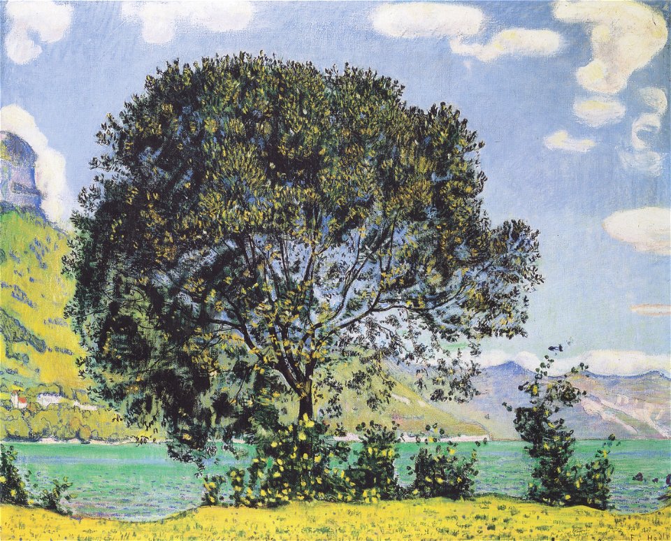 Hodler - Baum am Brienzersee vom Bödeli aus - 1906
