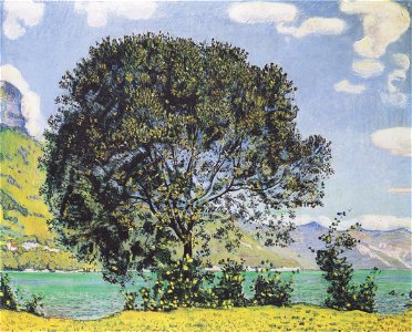 Hodler - Baum am Brienzersee vom Bödeli aus - 1906
