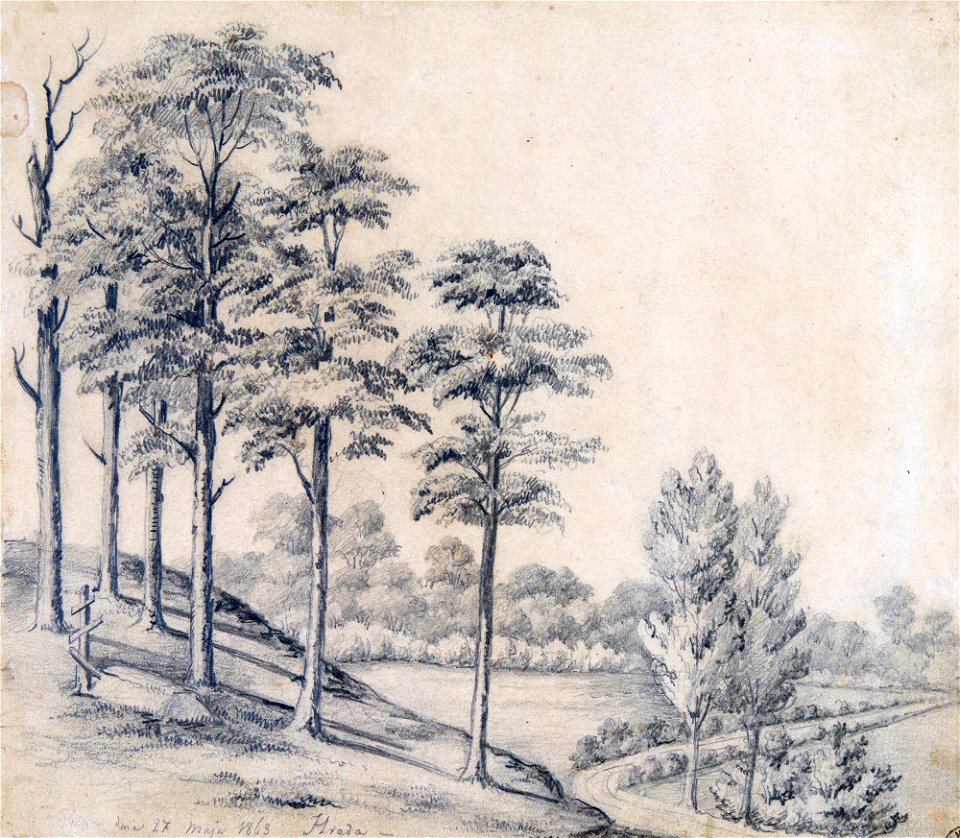 Hnieŭčycy, Hrada. Гнеўчыцы, Града (N. Orda, 27.05.1863)
