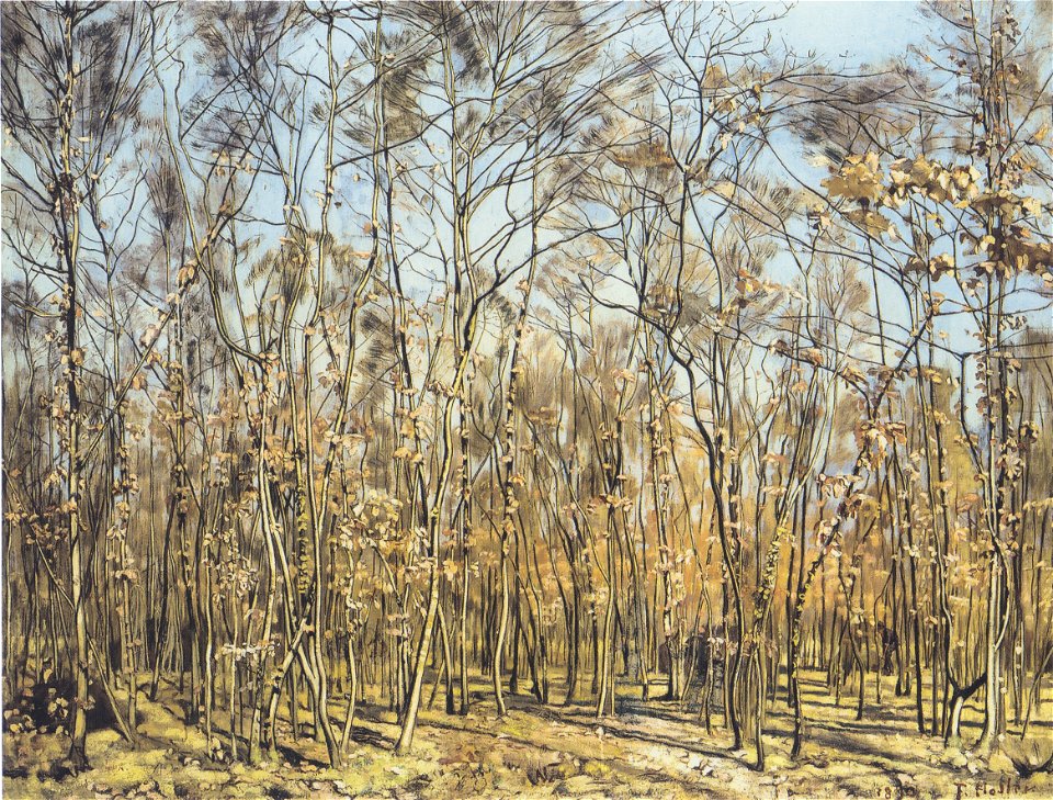 Hodler - Der Buchenwald - 1885