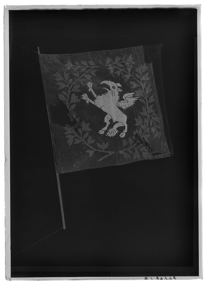 Hjälmhuva - Livrustkammaren - 43231-negative