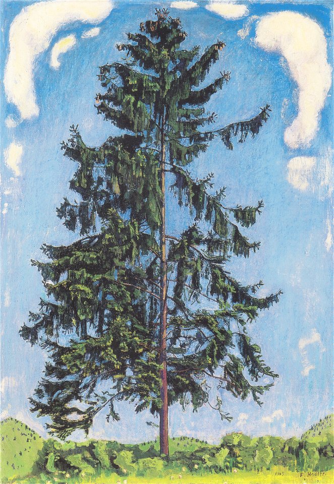 Hodler - Tanne bei Chamby - 1905