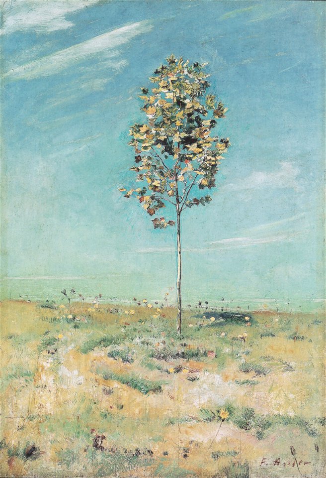 Hodler - Die kleine Plantane - 1890
