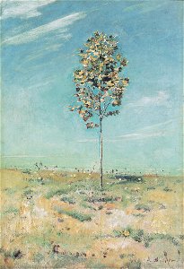 Hodler - Die kleine Plantane - 1890