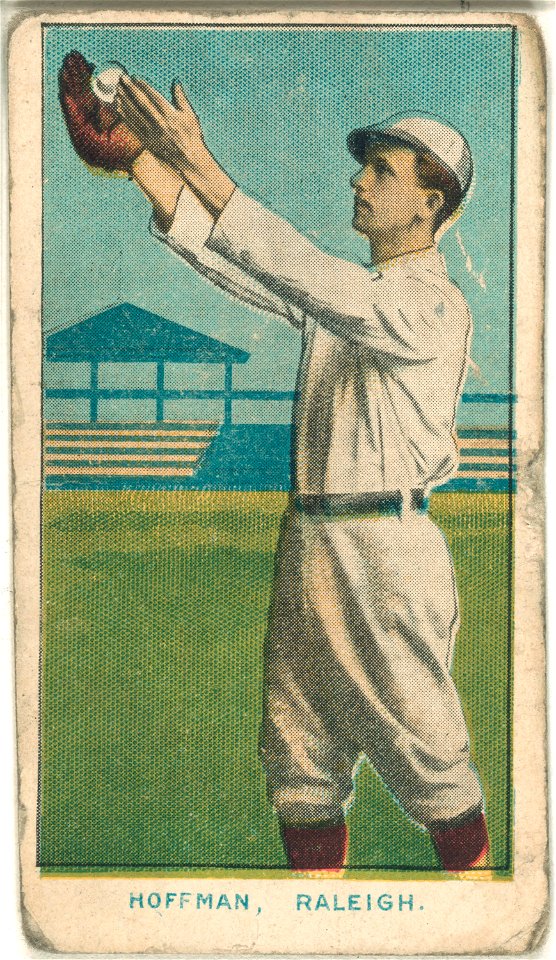 Hoffman, Raleigh Team, baseball card portrait LCCN2007683802