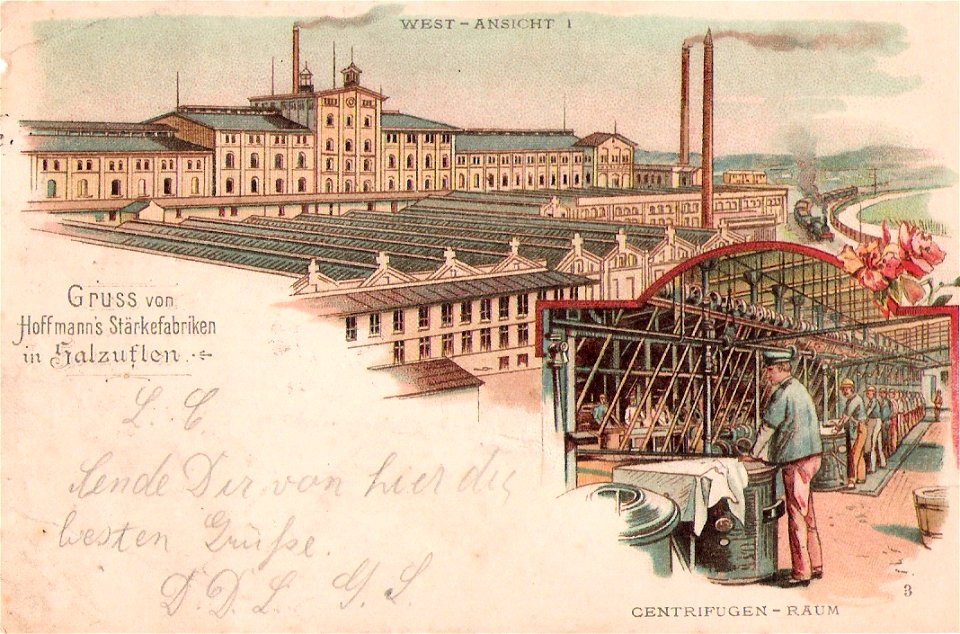 Hoffmann 03