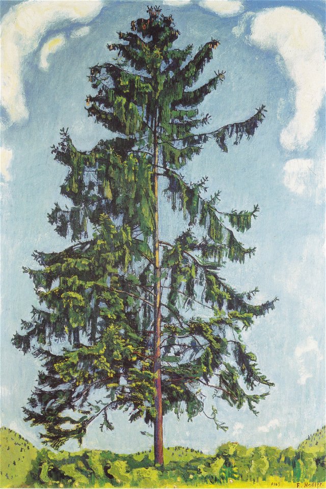 Hodler - Tanne bei Chamby2 - 1905