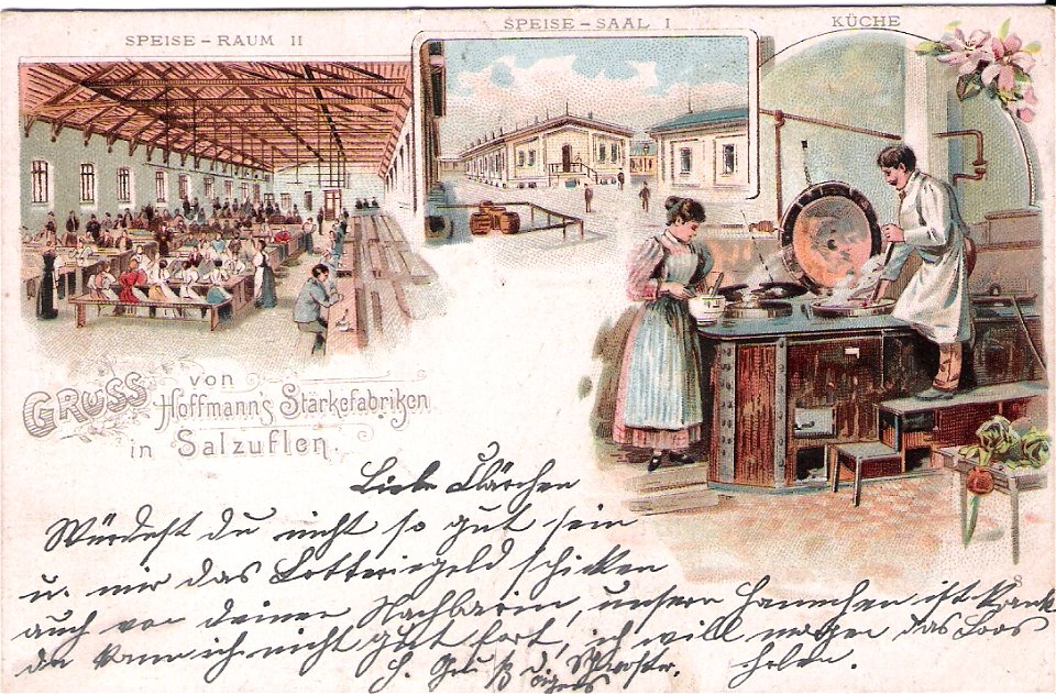 Hoffmann 08