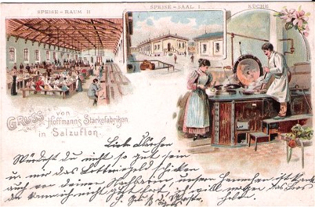 Hoffmann 08