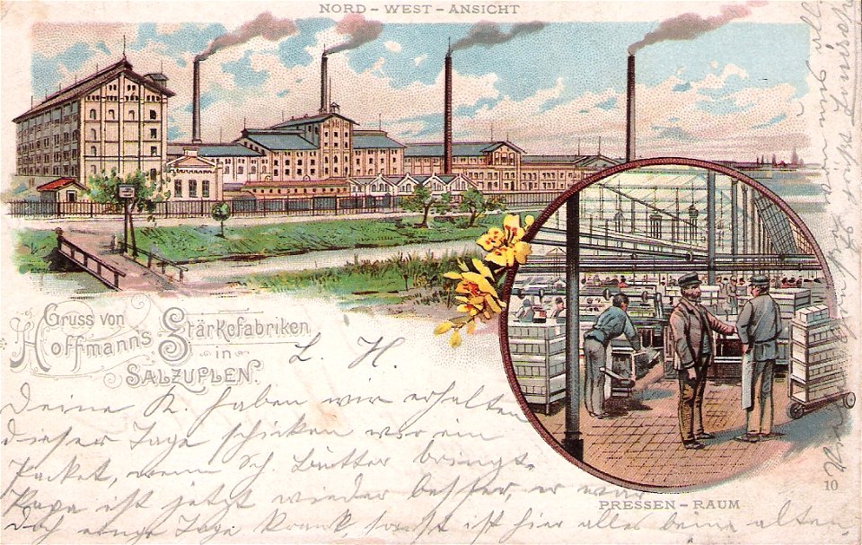 Hoffmann 10