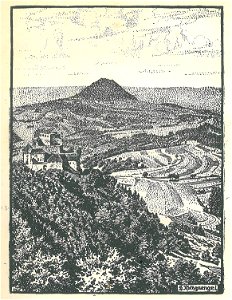 Hohenstaufen (Waldeyer-Hartz) b 143