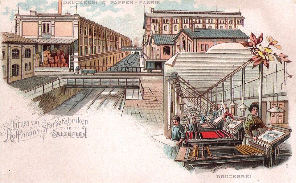 Hoffmann 05