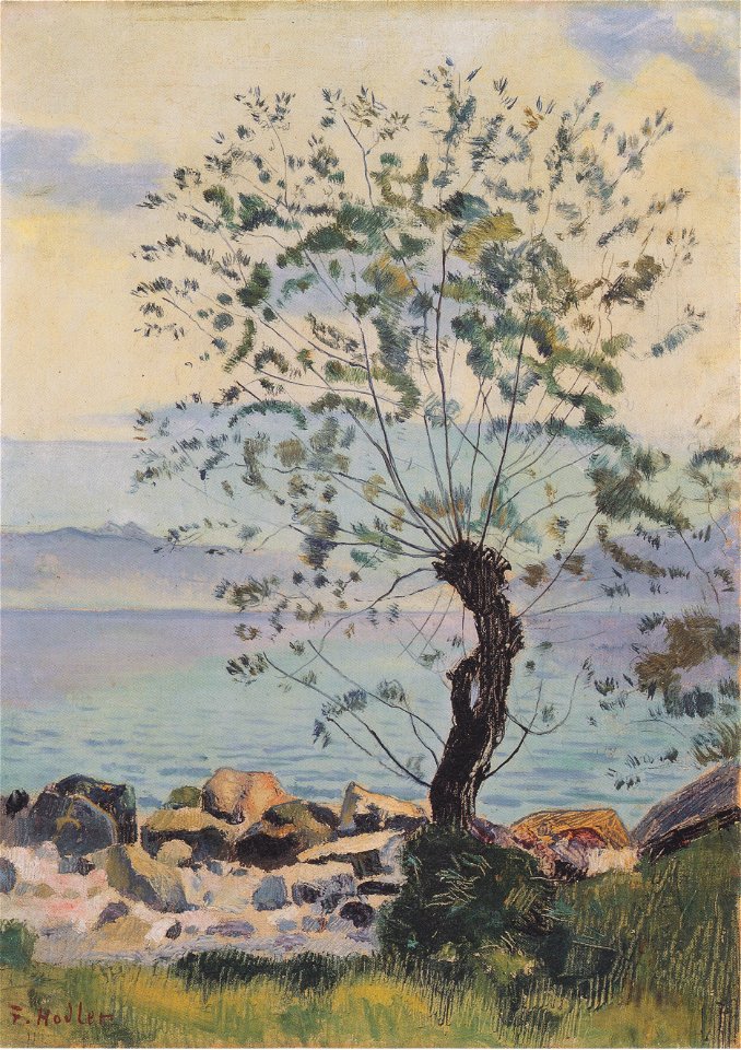 Hodler - Weidebaum am See - ca1890
