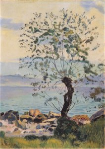 Hodler - Weidebaum am See - ca1890