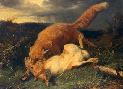 Harefox