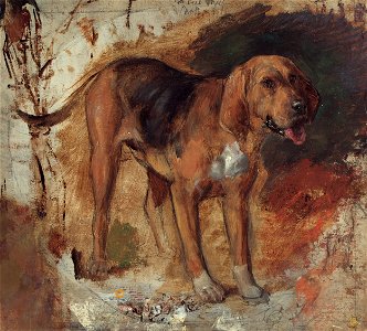 Holman Hunt - Study of a bloodhound - Google Art Project