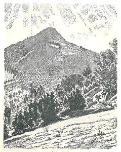 Hohenstaufen (Waldeyer-Hartz) b 305
