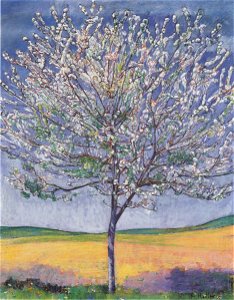 Hodler - Blühender Kirschbaum - 1905