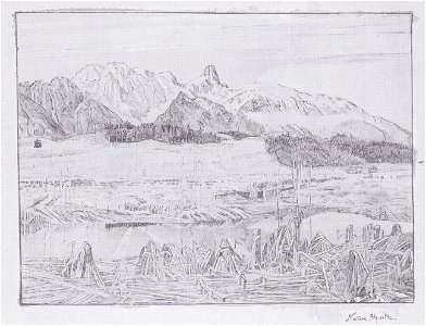 Hodler - Nature alpestre (Stockhornlandschaft) - 1883