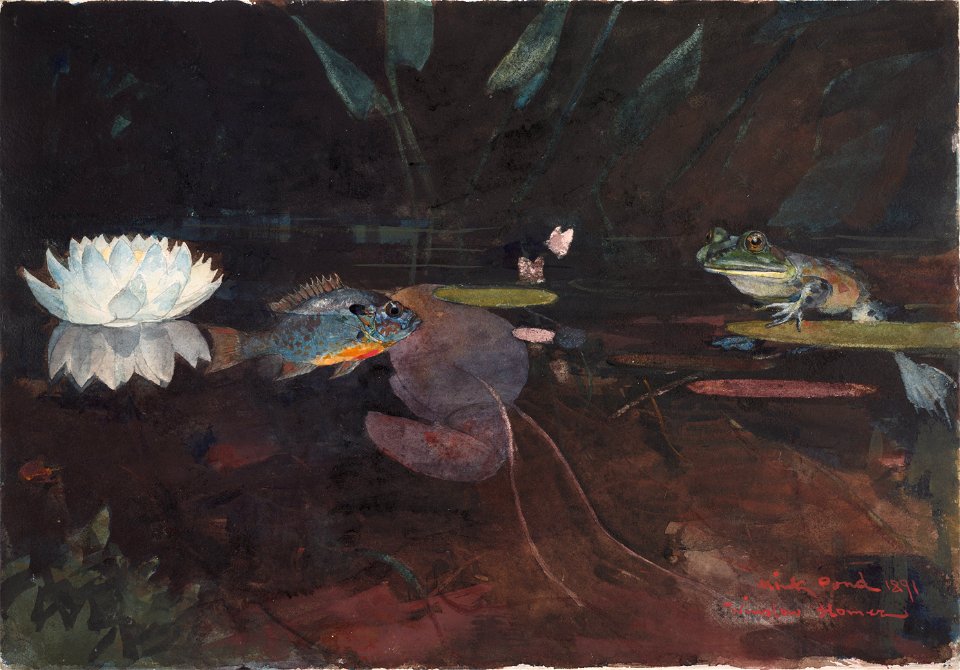 Winslow Homer - Mink Pond (1891)