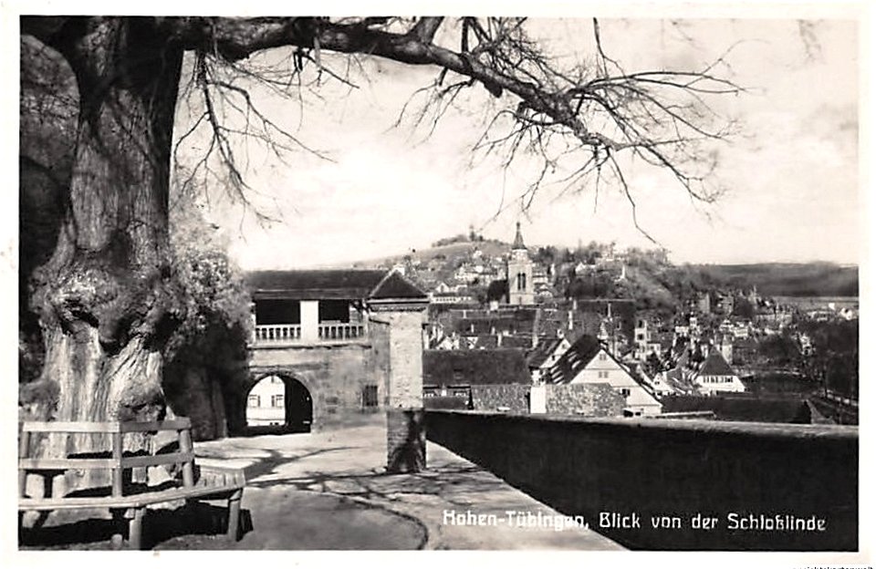 Hohen-Tübingen. Blick von der Schloßlinde (AK 519321 Gebr. Metz 1930)