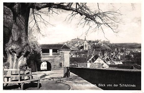Hohen-Tübingen. Blick von der Schloßlinde (AK 519321 Gebr. Metz 1930)