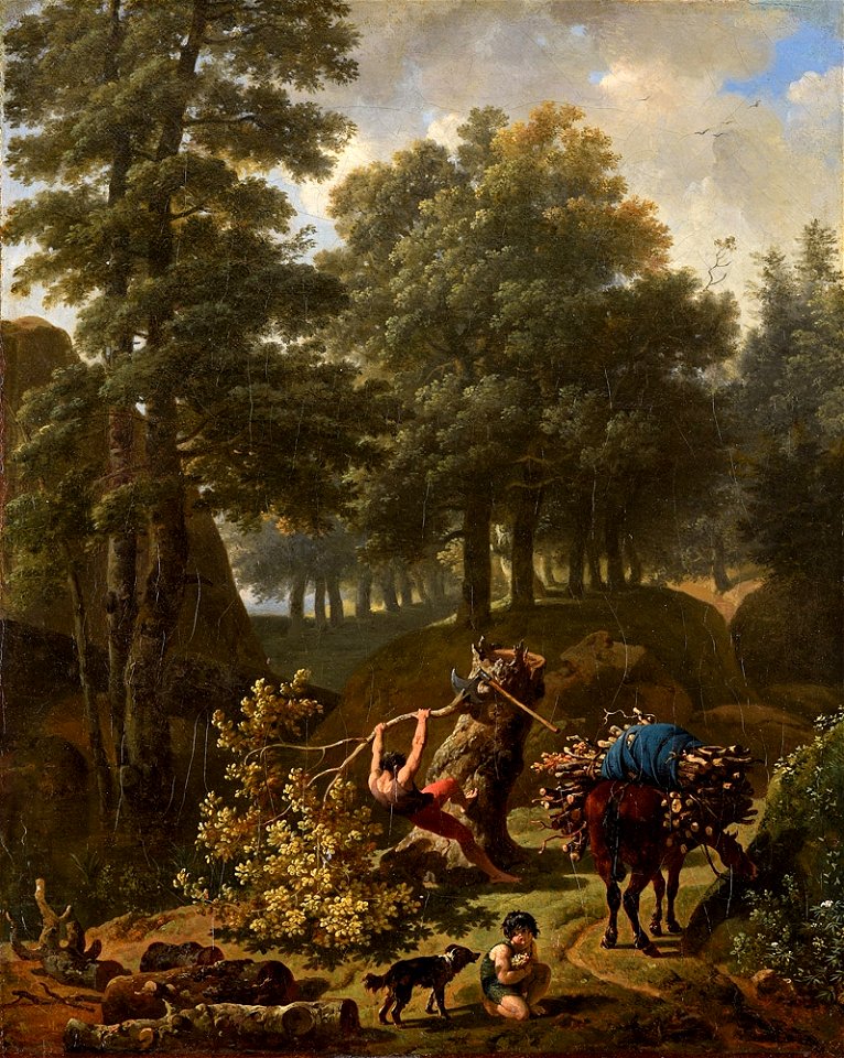 Holzsammler