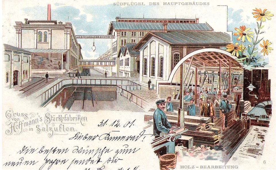 Hoffmann 06