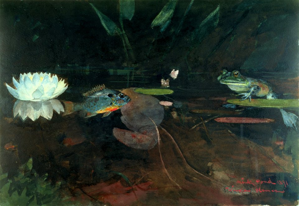 Winslow Homer - Mink Pond