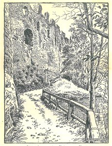 Hohenstaufen (Waldeyer-Hartz) b 109