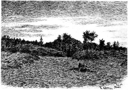 Hoestkveld paa skaatoey - Autumn evening in Skaatoey - 1890