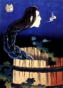 Hokusai Sarayashiki