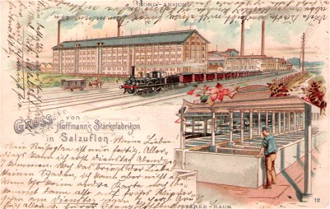 Hoffmann 12