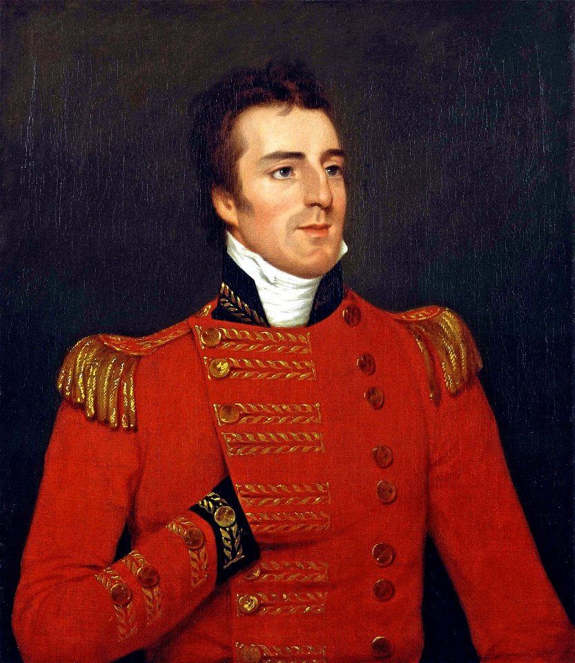 Portrait of Arthur Wellesley, 1st Duke of Wellington (by Robert Home)