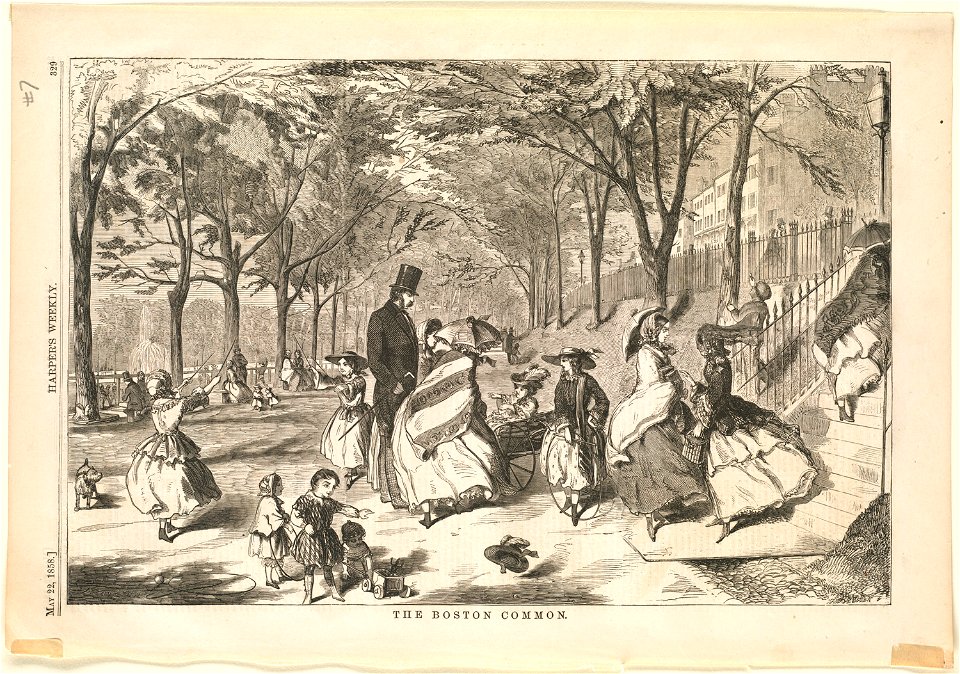 The Boston Common (Boston Public Library)