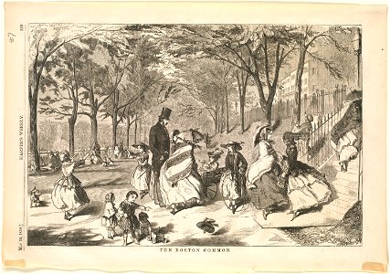 The Boston Common (Boston Public Library)