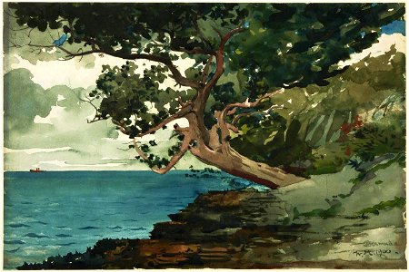 Winslow Homer - Bermuda. Free illustration for personal and commercial use.