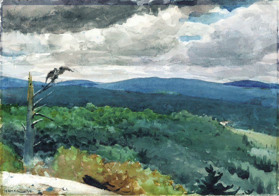 Winslow Homer - Hilly Landscape